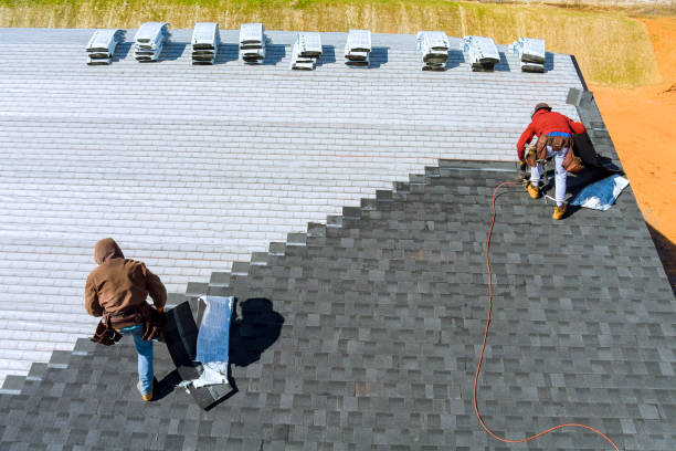 Best Roof Gutter Cleaning  in Annandale, NJ