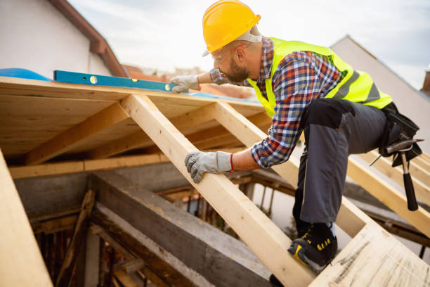 Best Roof Gutter Cleaning  in Annandale, NJ