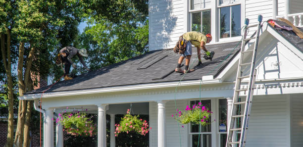 Best Roof Leak Repair  in Annandale, NJ
